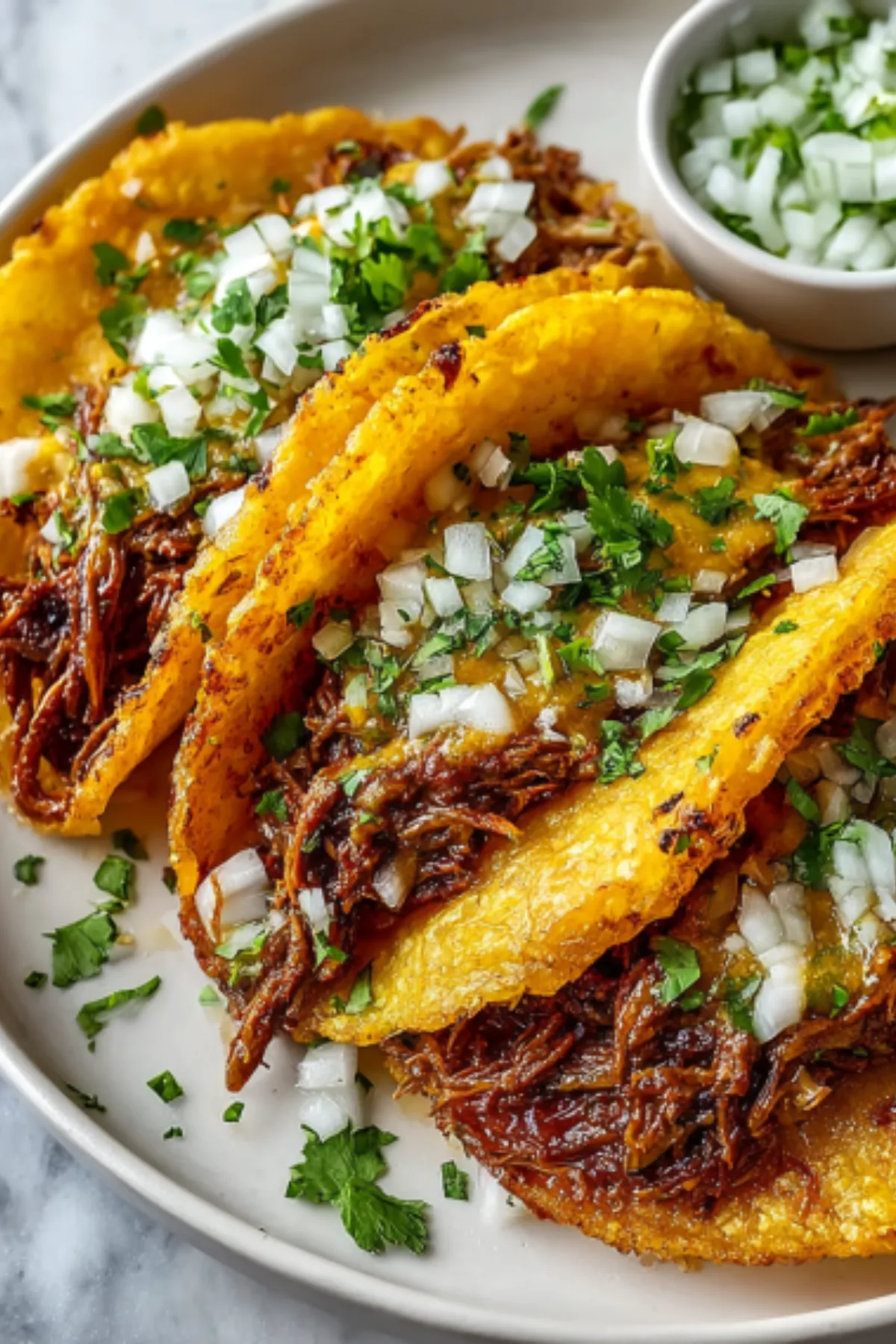 Instant Pot Birria - Tender Beef in 50 Minutes