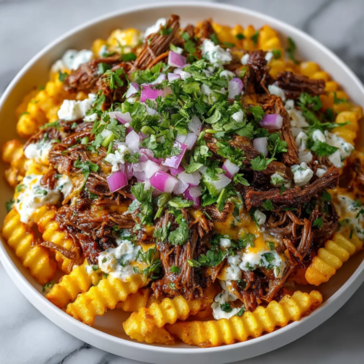 Ultimate Birria Fries Recipe