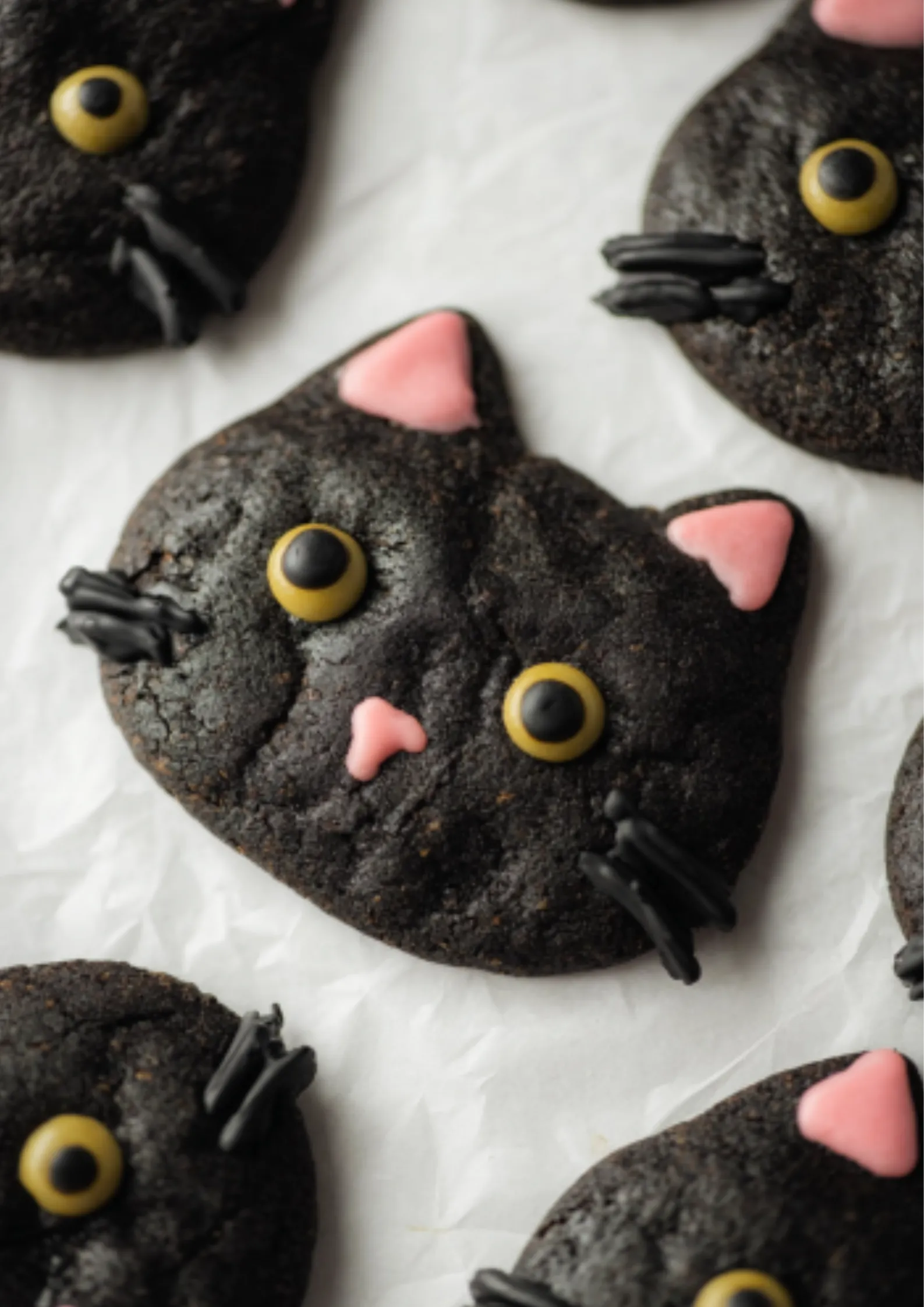 Cat Black Cocoa Cookies - 30 Minute Halloween Dessert