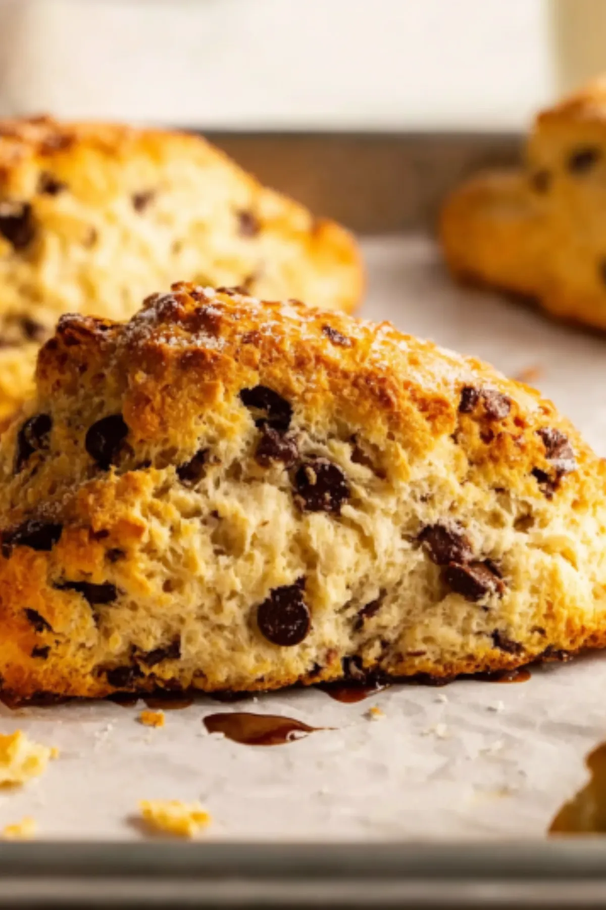 Homemade Chocolate Chip Scones (So Simple)