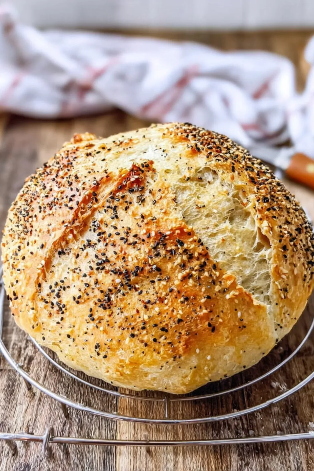 Bagel No-Knead Bread Recipe _ Perfect Crusty Loaf