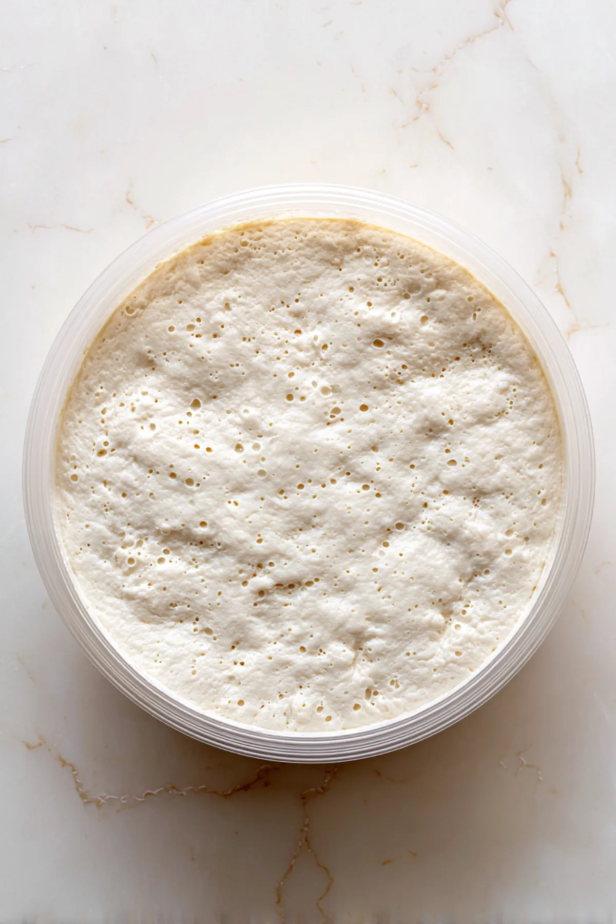 Italian Biga Recipe
