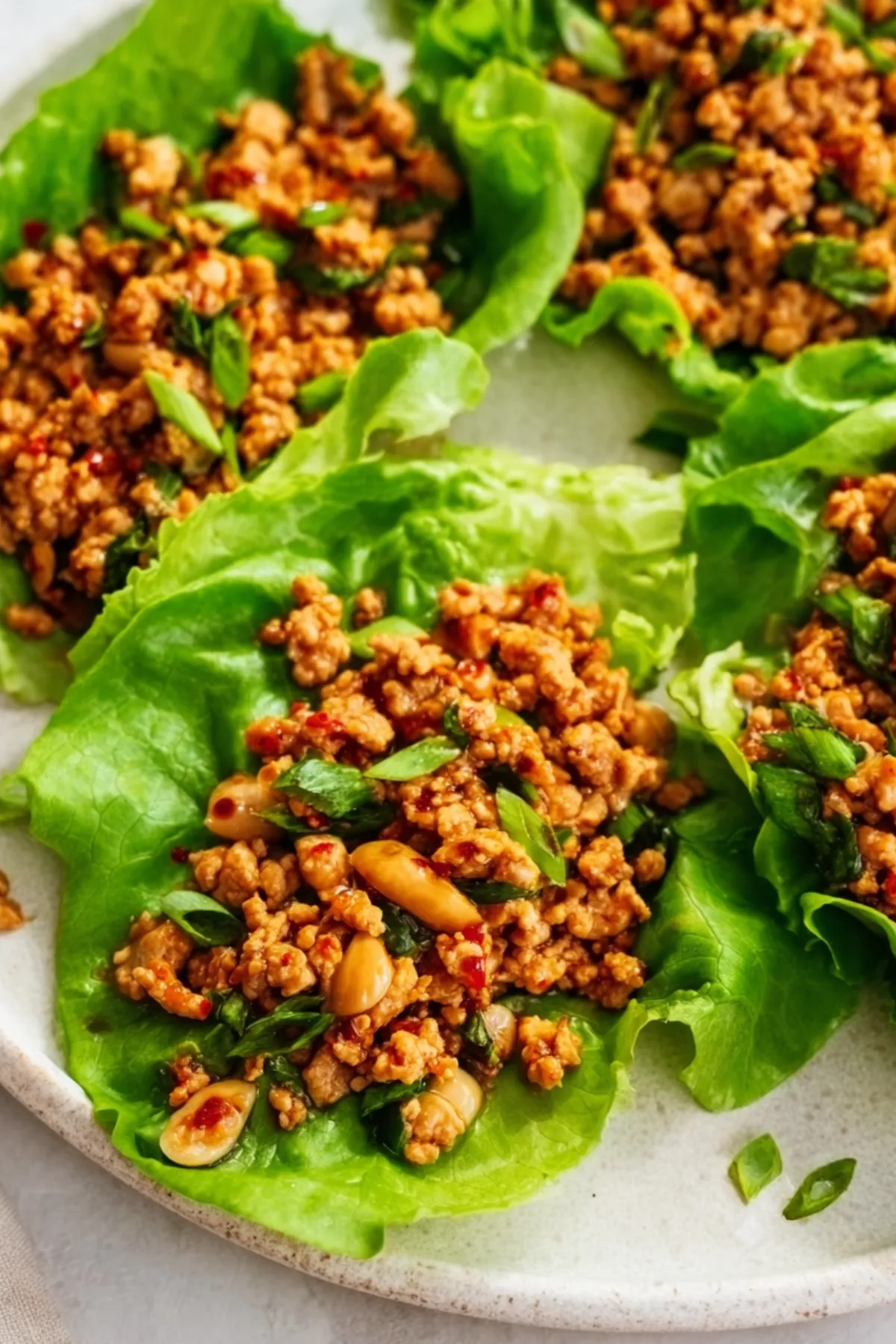 Low Sodium Turkey Lettuce Wraps